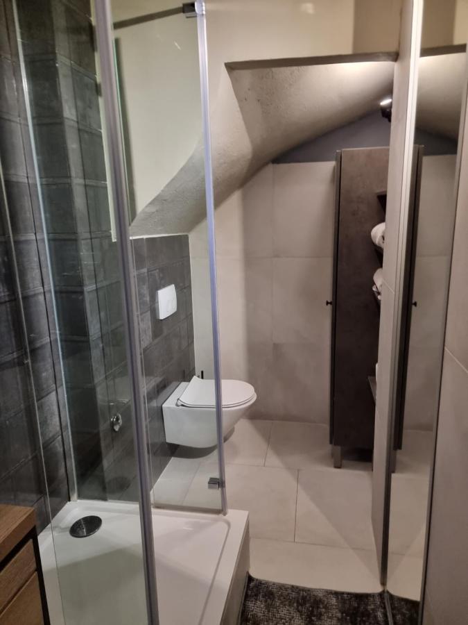 Apartment Sibinicum Luxury *